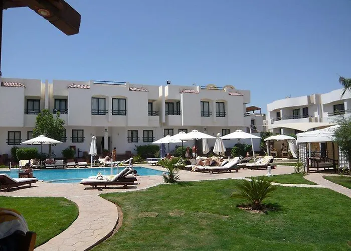 Viking Club Sheikh 4*