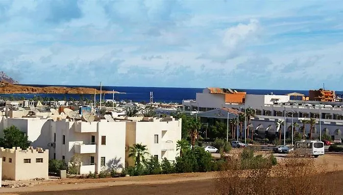 Viking Club Sheikh