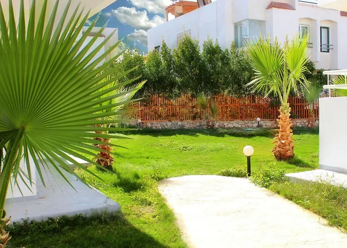 Viking Club Sheikh Sarm es-Sejk